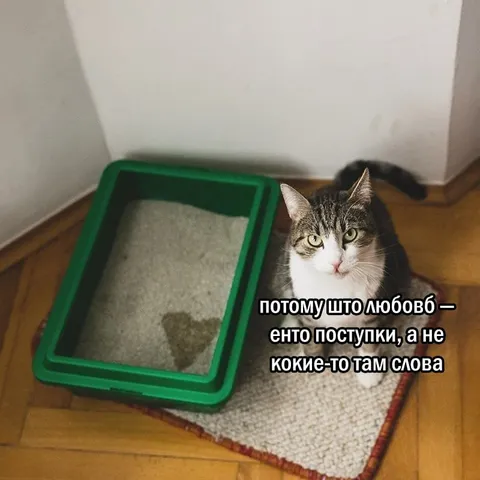 Любовь — это поступки