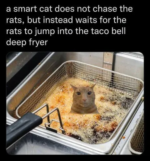 Smart Cat Taco Bell Strategy