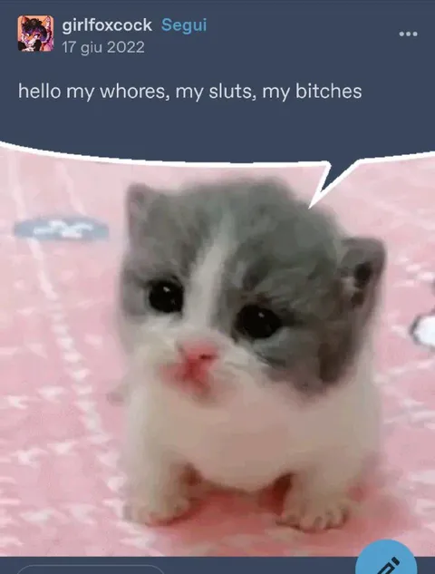Hello My Whores Sluts Bitches