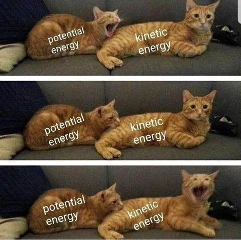 Potential and Kinetic Energy Cats