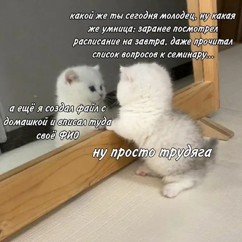 Просто трудяга перед семинаром