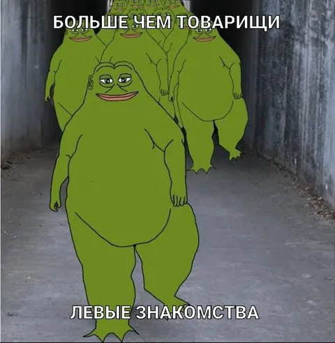 Больше чем товарищи