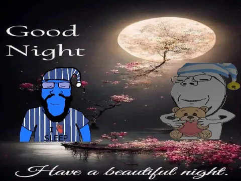 Good Night Sleep Meme