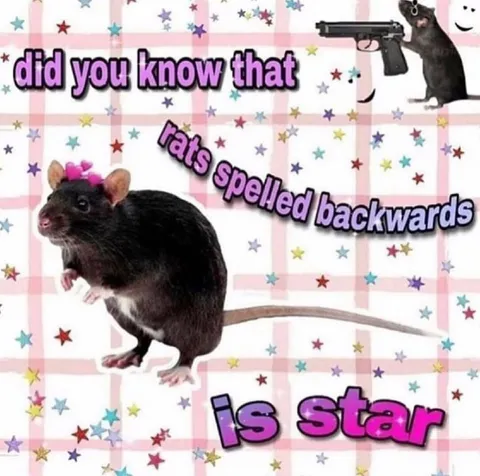 Rats spelled backwards is star