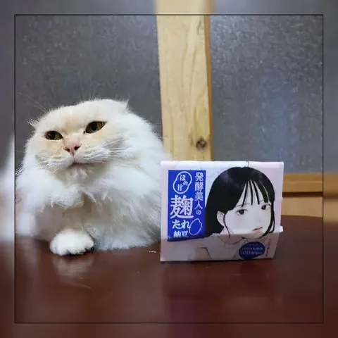 Кот рядом с упаковкой натто