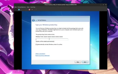 Epstein Windows 7 activation