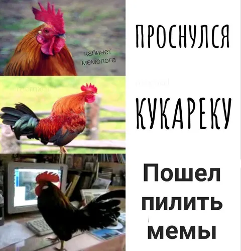 Проснулся и пошел пилить мемы