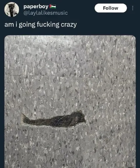 Am I Going Fucking Crazy