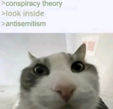 Conspiracy Theory Antisemitism Cat