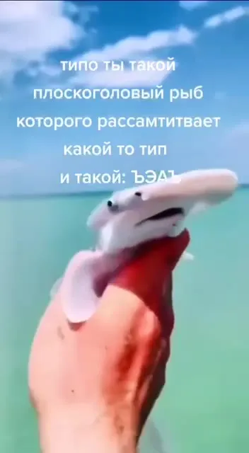 Плоскоголовый рыб и такой: ЭЭАЬ