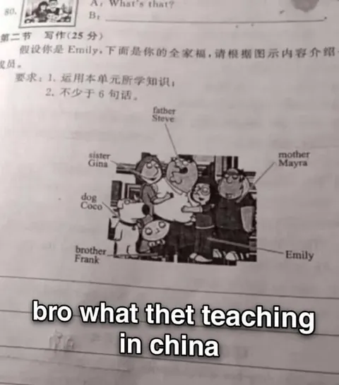 Bro What They Teach in China