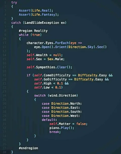 Reality Programming Exception