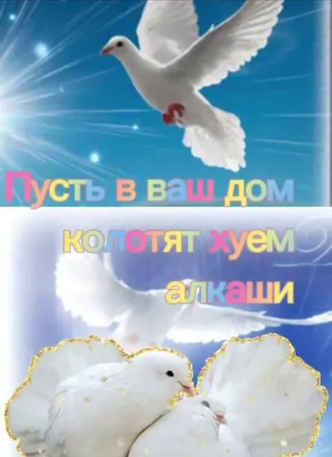 Пусть в ваш дом колотят хуем алкаши