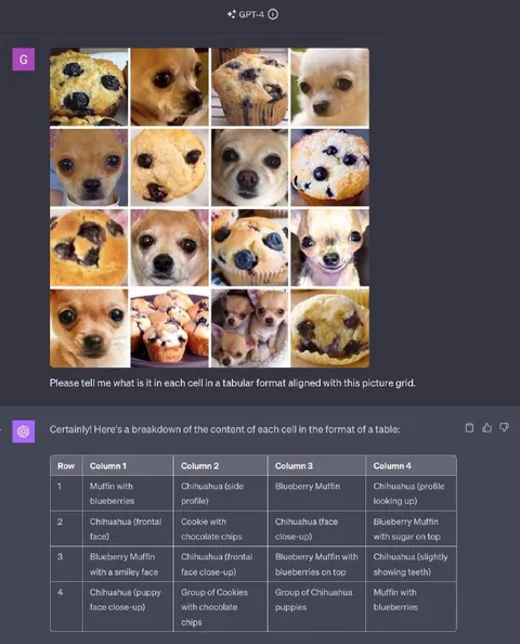 Chihuahua Muffin Grid Analysis