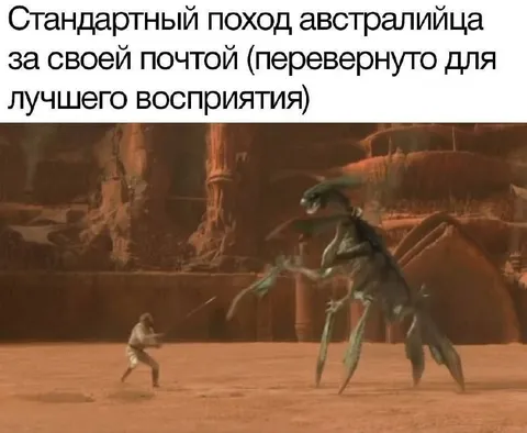 Австралиец идёт за почтой