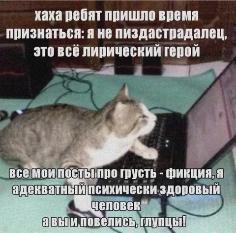 Я не пиздастрадалец
