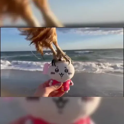 Owl Steals the Beach Plushie