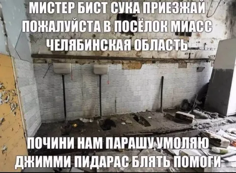Мистер Бист почини парашу