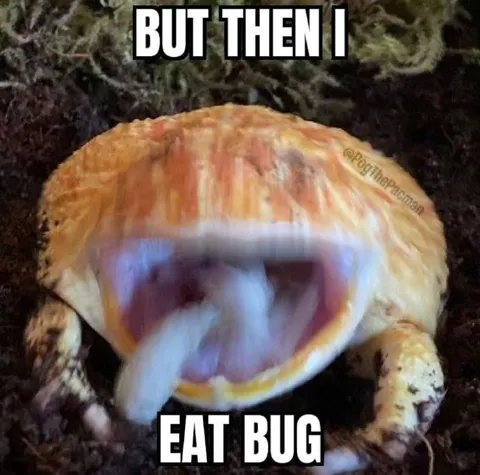 But Then I Eat Bug