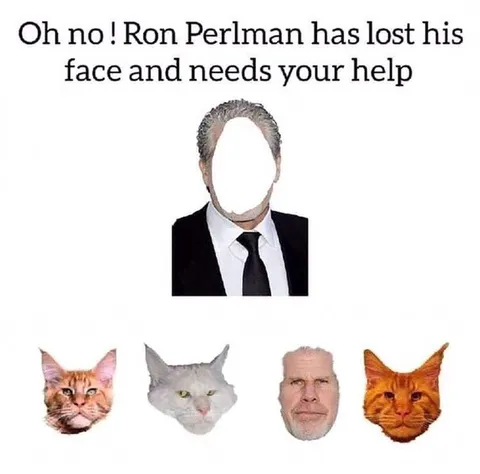 Ron Perlman Lost His Face