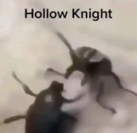 Hollow Knight Rat Fight