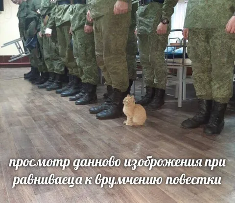 Просмотр изображения как повестка