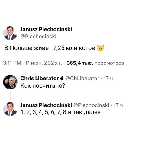 Как посчитали котов в Польше
