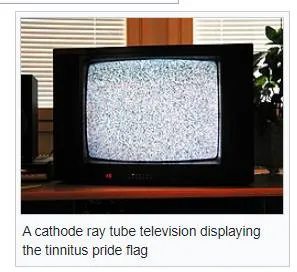 Tinnitus Pride Flag TV