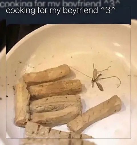 Cooking for My Boyfriend