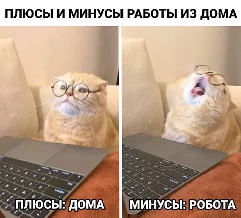 Плюсы и минусы работы из дома