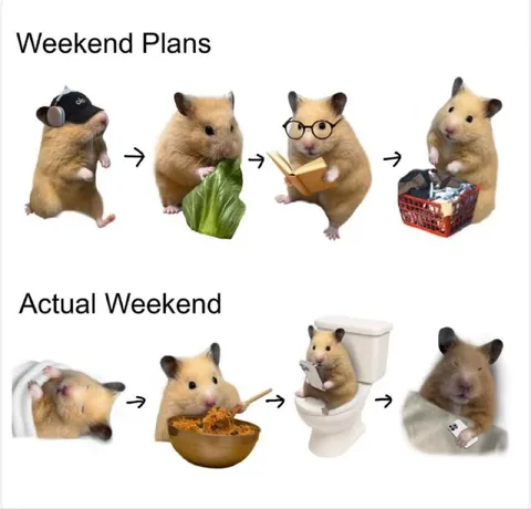 Weekend Plans vs Actual Weekend