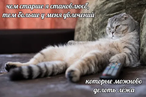 Чем старше, тем больше увлечений лёжа