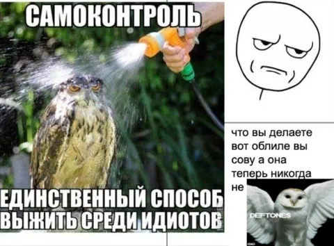Самоконтроль среди идиотов