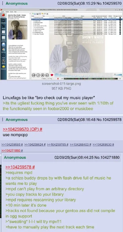 Linuxfags Music Player Rant