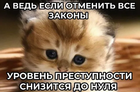 Отменить все законы