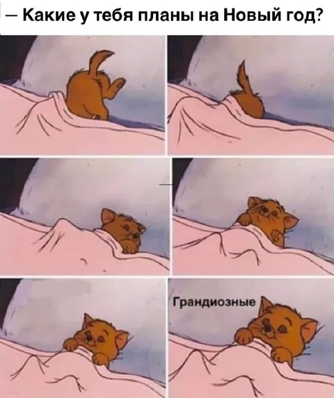 Грандиозные планы на Новый год