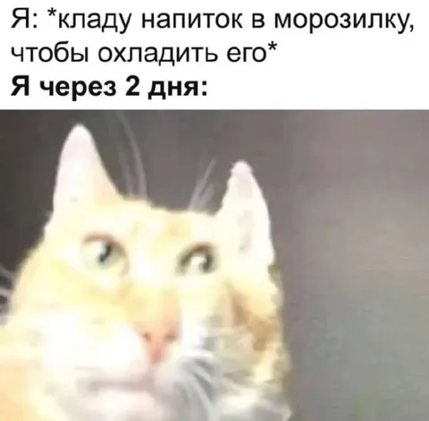 Напиток в морозилке через два дня