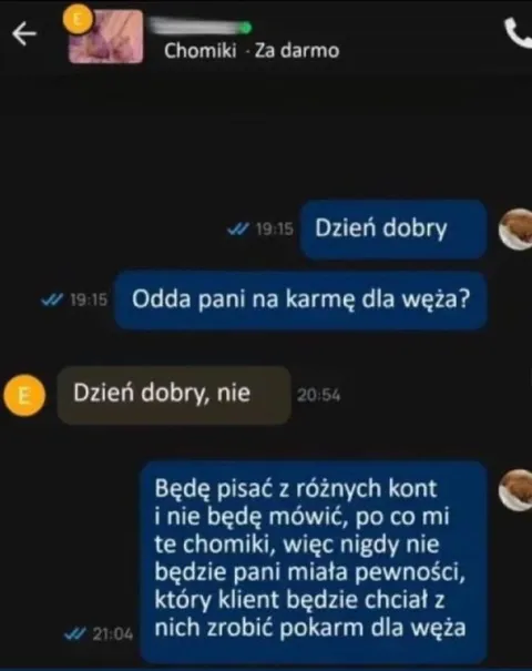 Chomiki jako pokarm dla węża