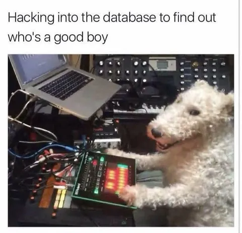 Hacking to Find the Good Boy