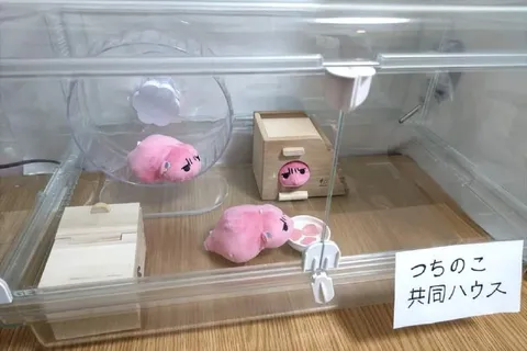 うちのこ共同ハウス