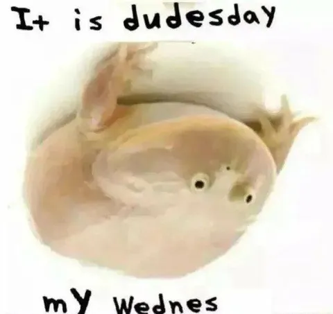 It’s Dudesday, My Wednes