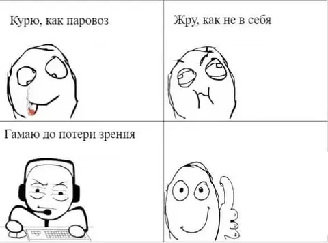 Курю, жру и гамаю