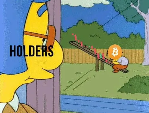 Bitcoin Holders Falling