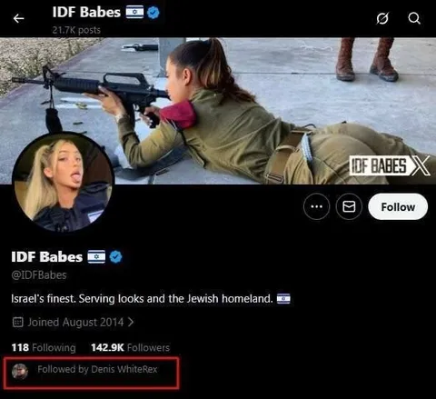 IDF Babes Twitter Profile