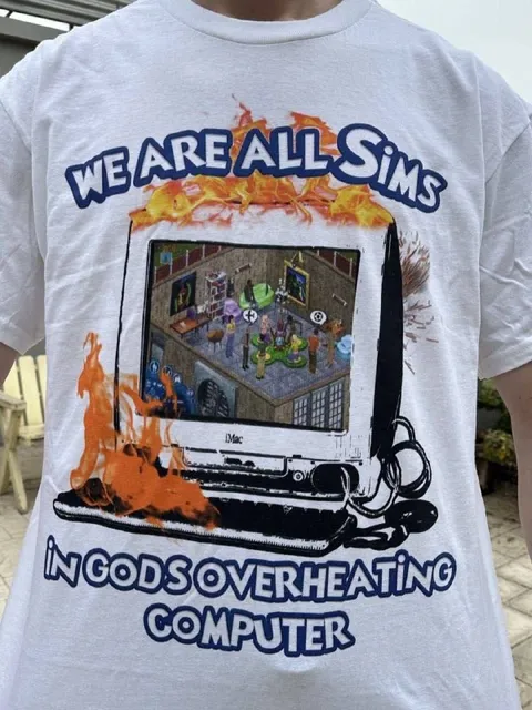 We Are All Sims