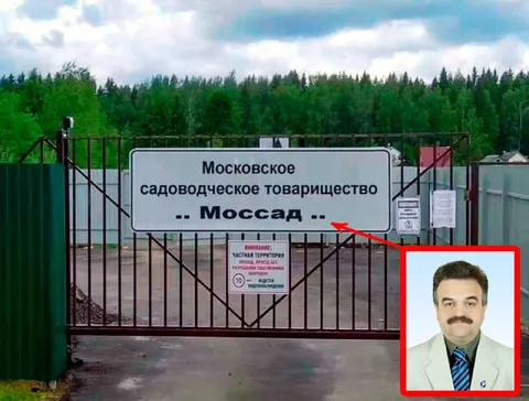 Моссад в садоводческом товариществе