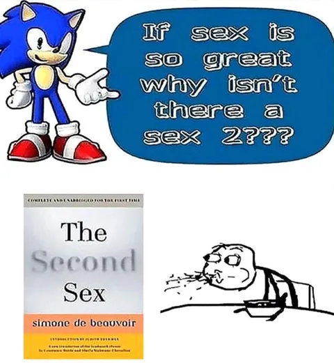 Sonic Discovers The Second Sex