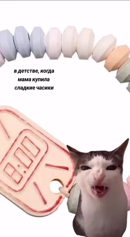 Кот жуёт сладкие часики