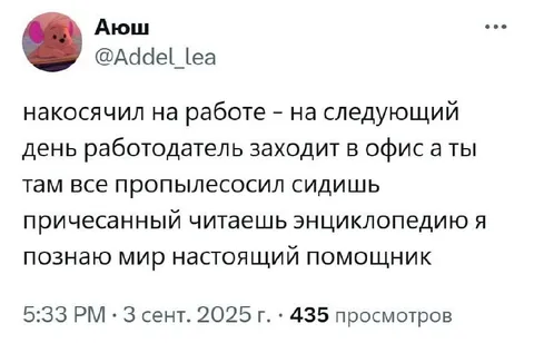 Настоящий помощник после косяка