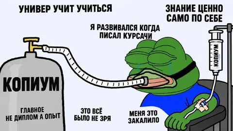 Универ учит учиться